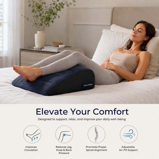 AirFlex Travel Pillow – Body & Lumbar Support