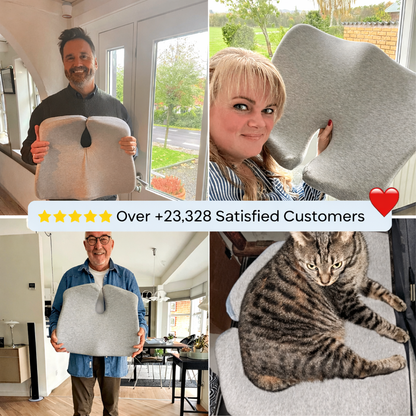 The Seat Therapy Pillow