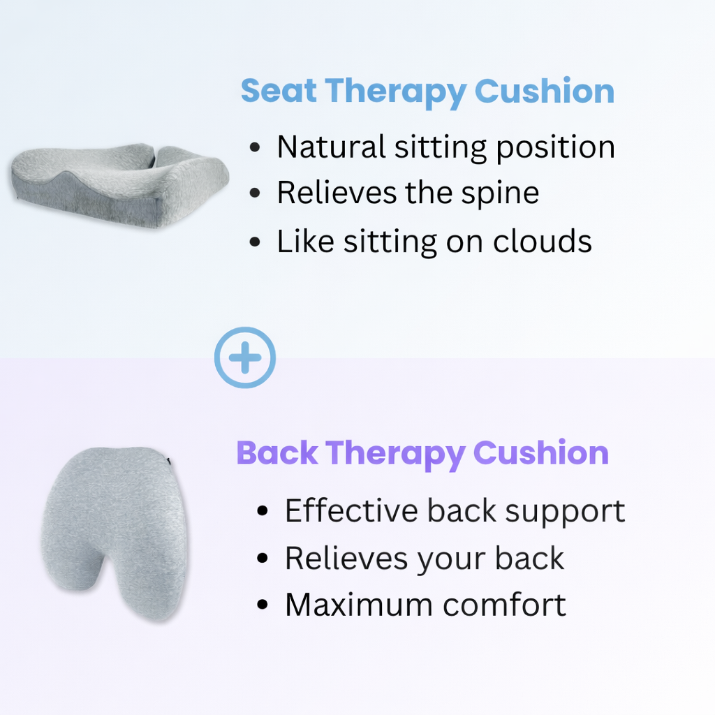 Back Therapy Cushion