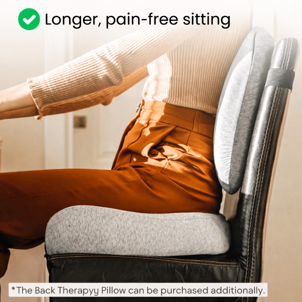 The Seat Therapy Pillow
