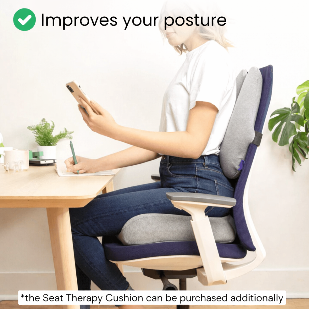 Back Therapy Cushion