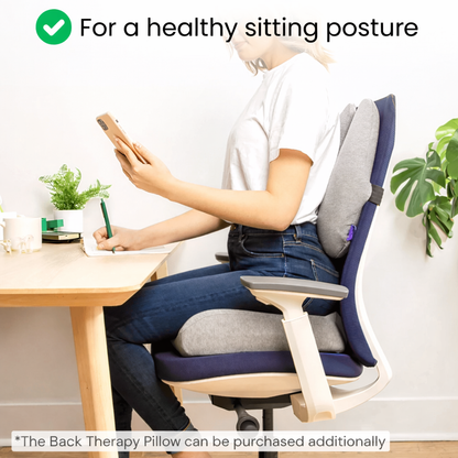 The Seat Therapy Pillow
