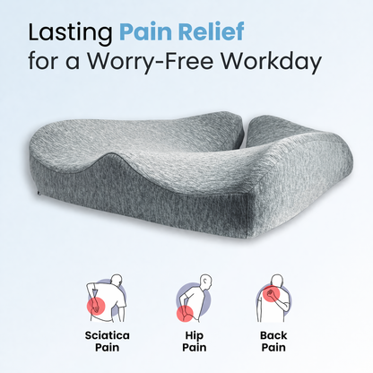 The Seat Therapy Pillow