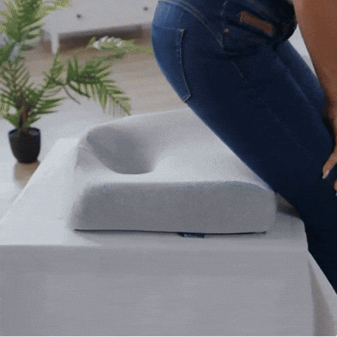 The Seat Therapy Pillow